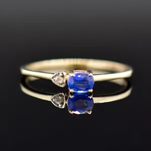 Kyanite and Spinel Minimalist 9CT Yellow Gold Ring