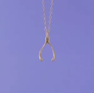 Mini Charming Necklace - Golden Wishbone