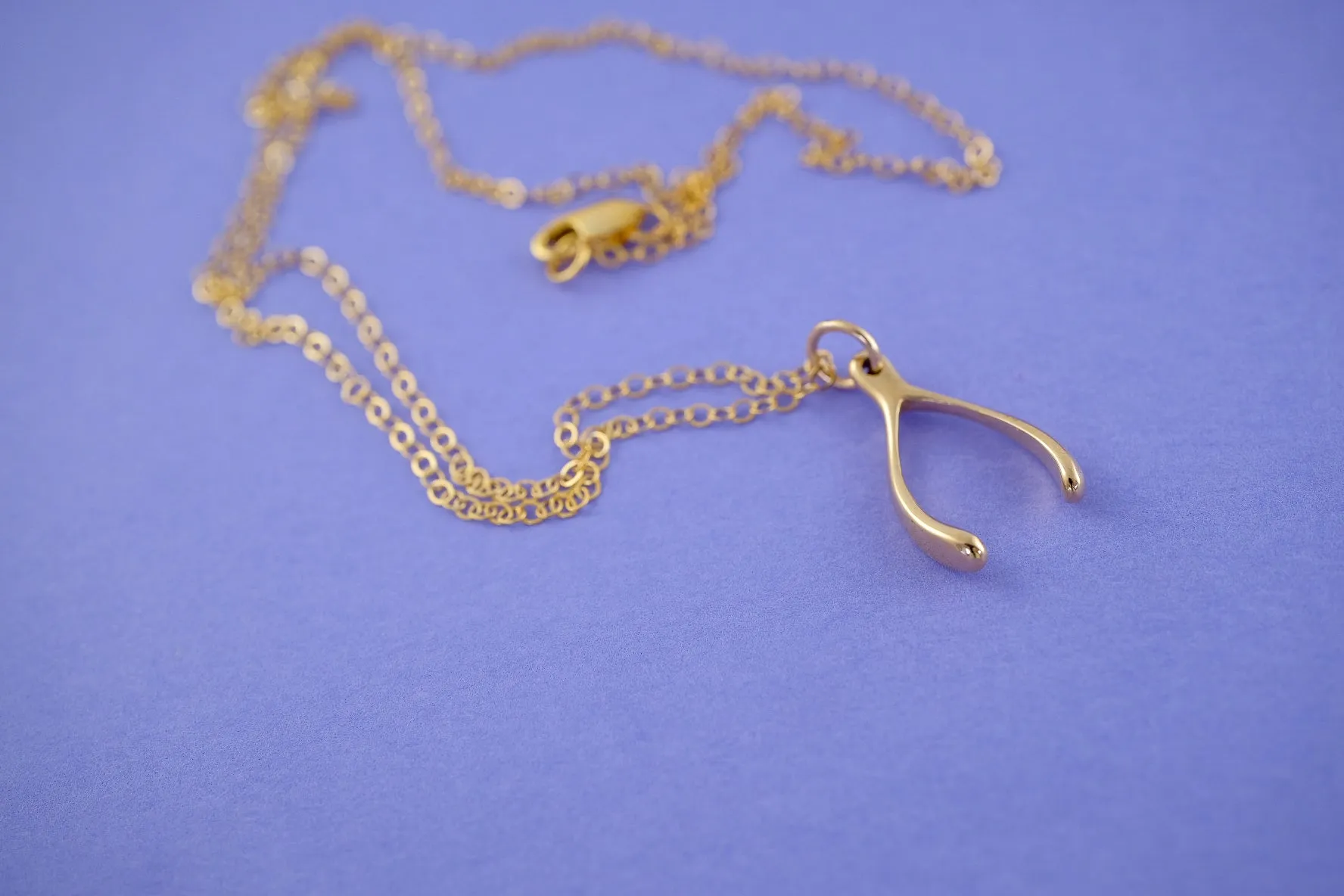 Mini Charming Necklace - Golden Wishbone