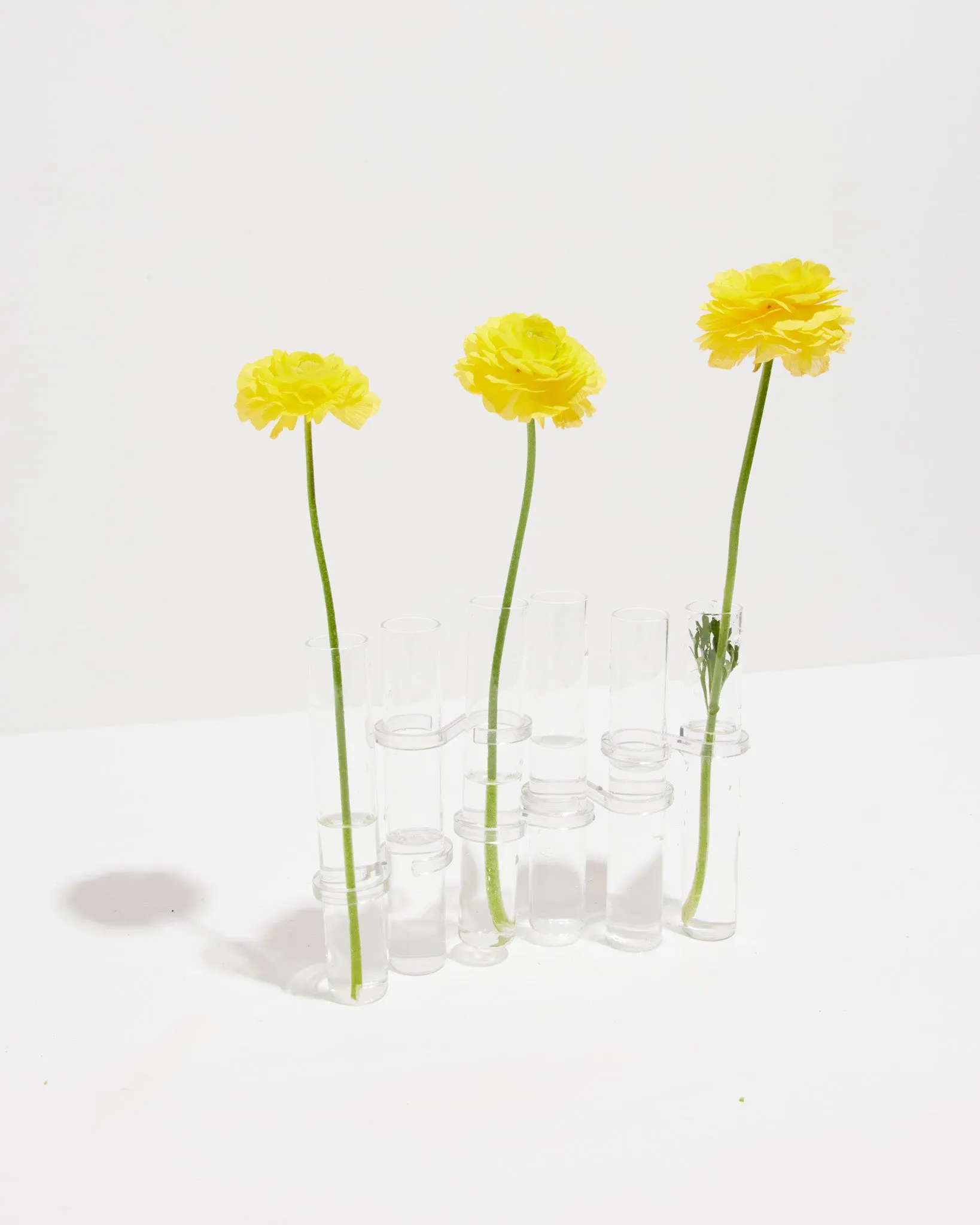 Minimalist Vase & Propagation Tubes