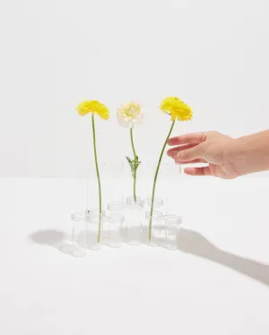 Minimalist Vase & Propagation Tubes