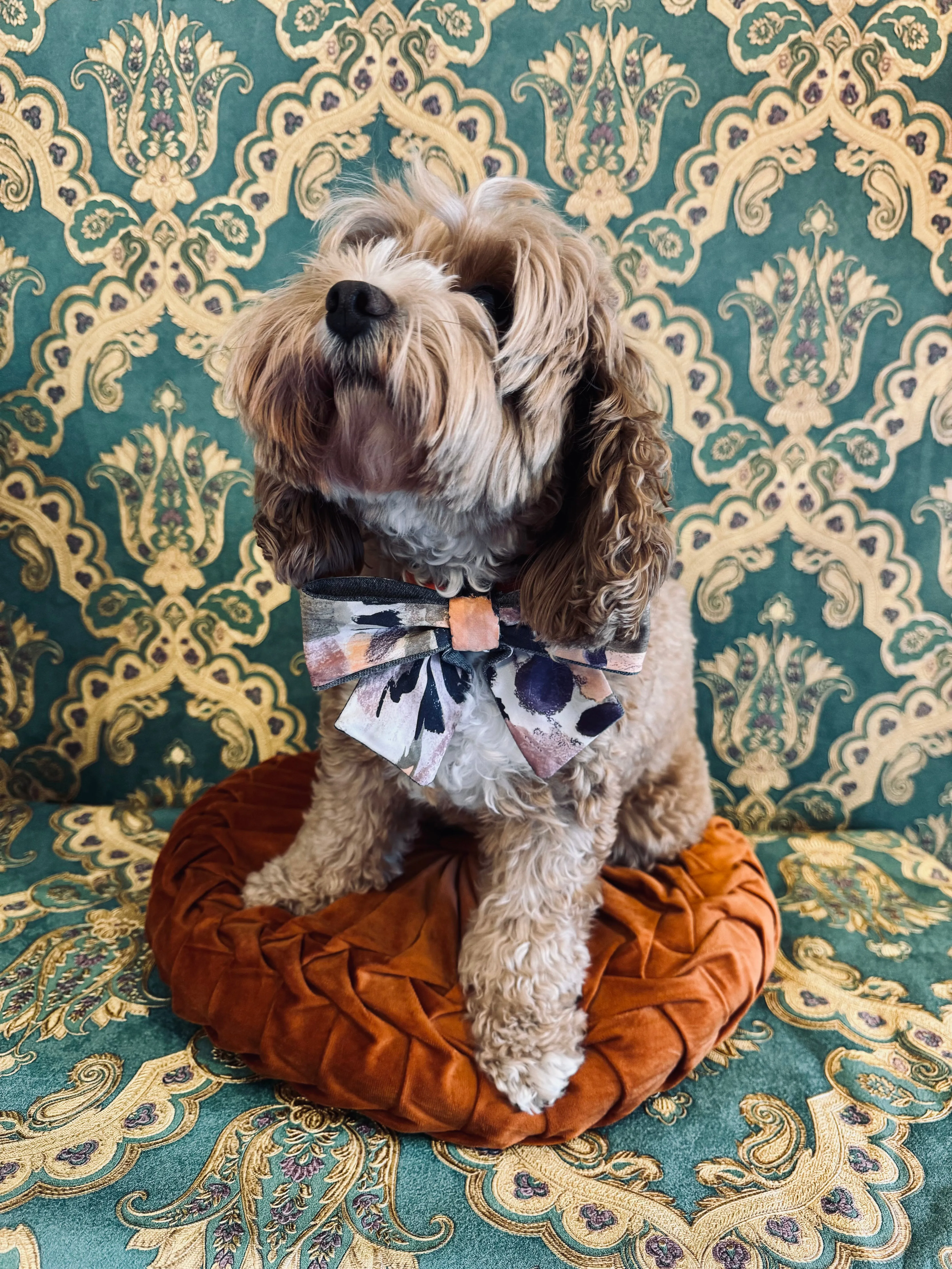 Poochella Pet Bows