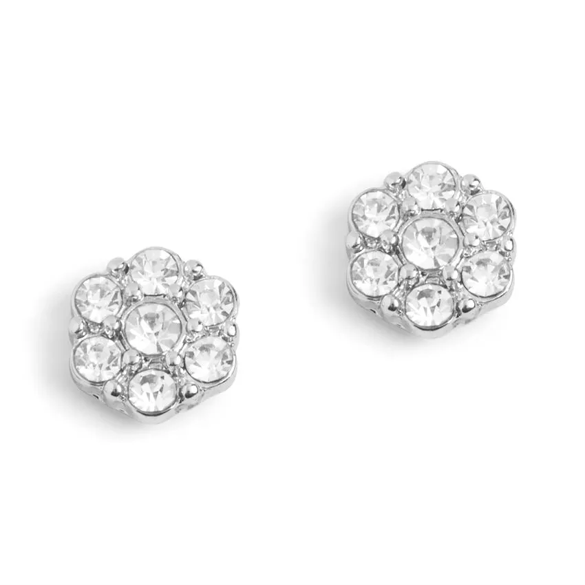 Silver Blooming Flower with Stones Stud Earrings